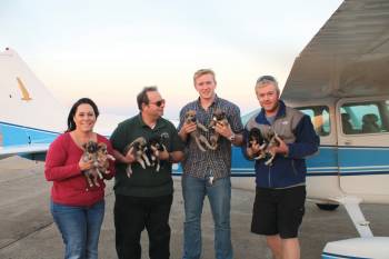 Pilots for Nonprofits: Ways to Volunteer and Help