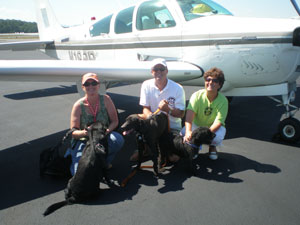 Pilots N Paws