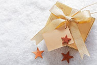 Holiday Gift Ideas for Pilots, December 2014